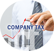 Company Tax return Image